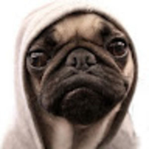 Meet your Posher, Charles-antoine